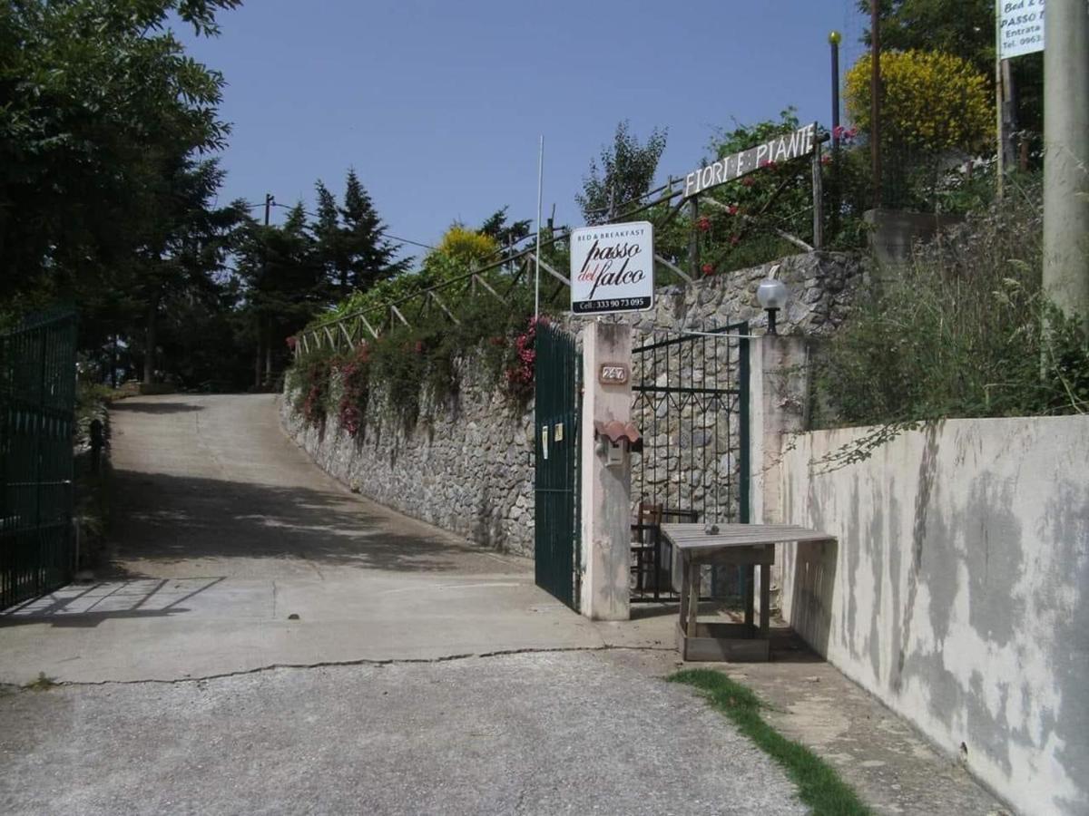 B&B Passo Del Falco Sorianello ภายนอก รูปภาพ