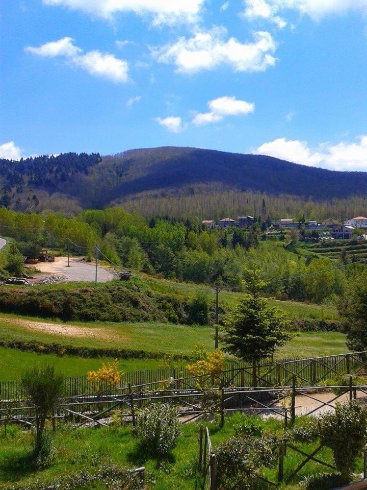 B&B Passo Del Falco Sorianello ภายนอก รูปภาพ