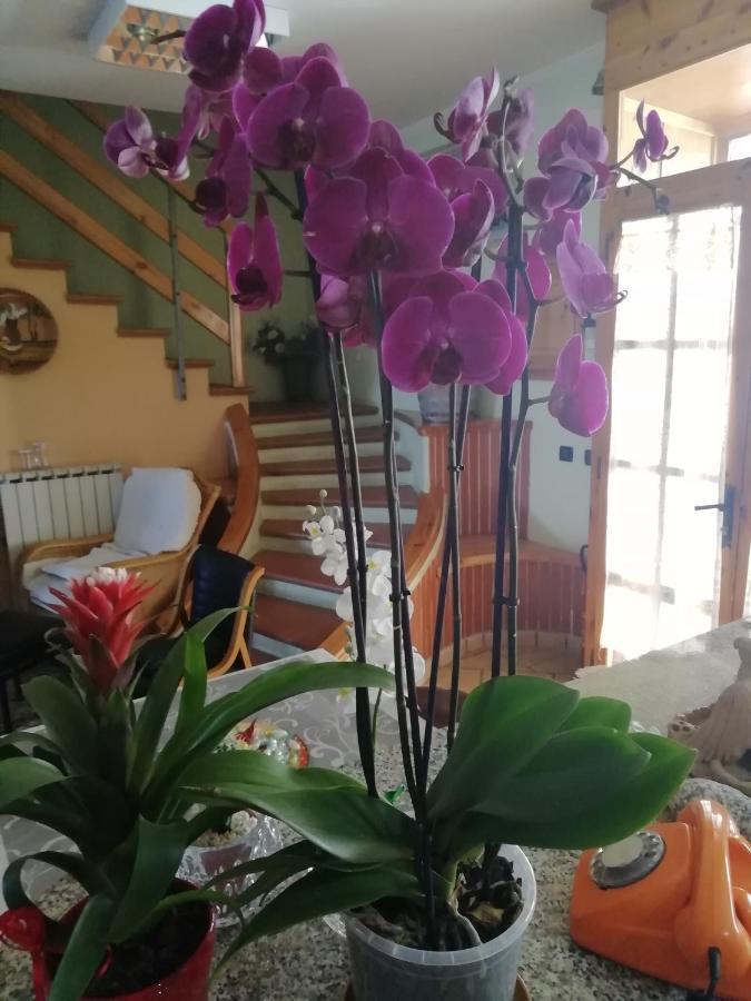 B&B Passo Del Falco Sorianello ภายนอก รูปภาพ
