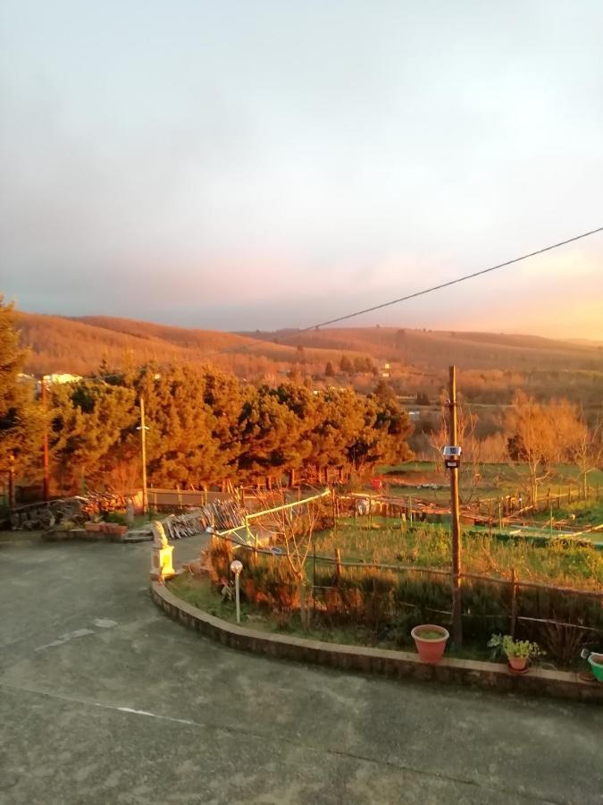 B&B Passo Del Falco Sorianello ภายนอก รูปภาพ